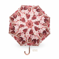 Love Umbrella